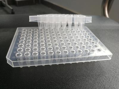 PCR plate