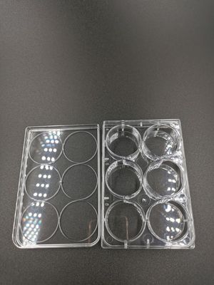 Cell Culture Plates